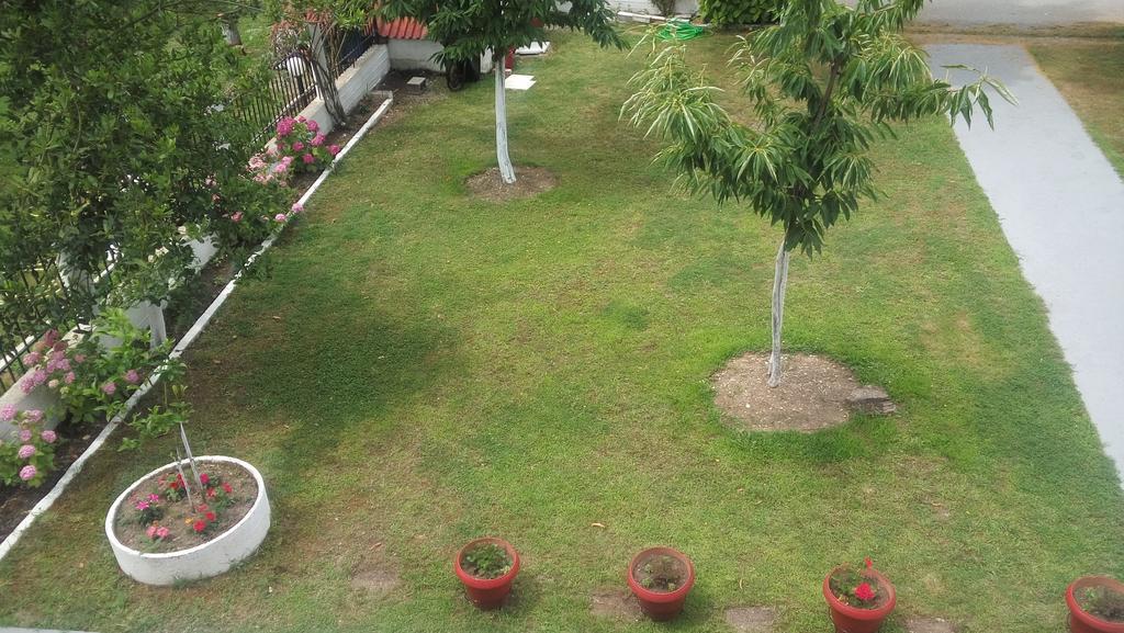 Georgoulas Apartments Paralía Skotínis Dış mekan fotoğraf