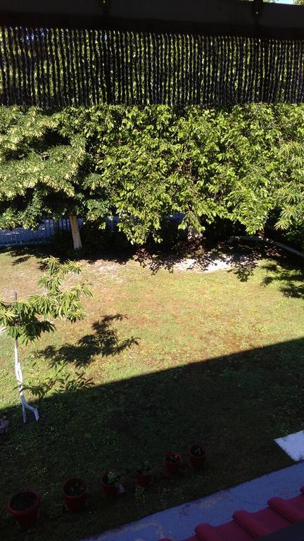 Georgoulas Apartments Paralía Skotínis Dış mekan fotoğraf